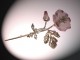 Broche_fleur_de_mauve