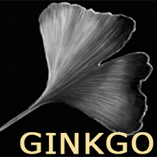 Collection Ginkgo